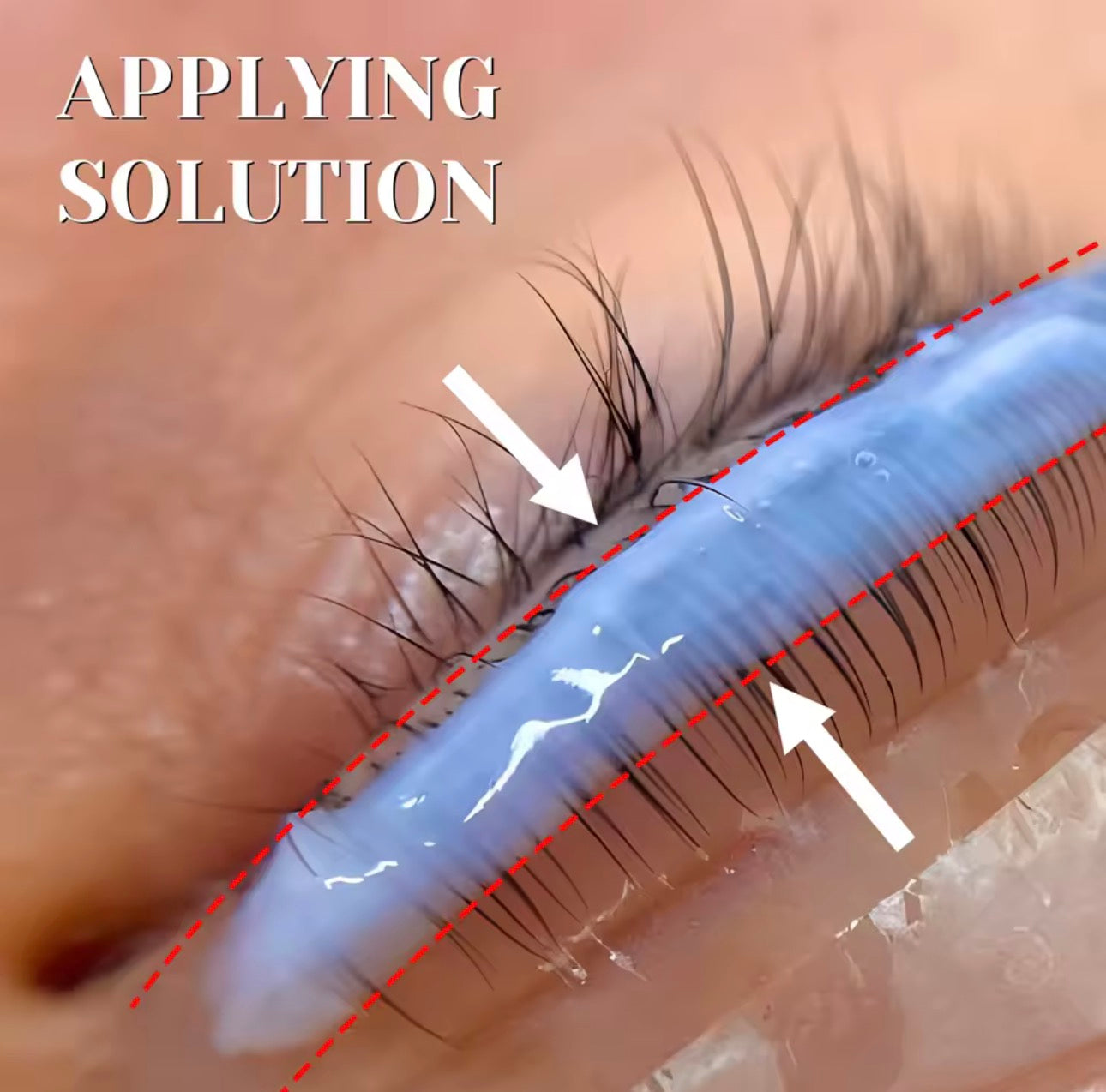 Lash & Brow Lift setti 10ml