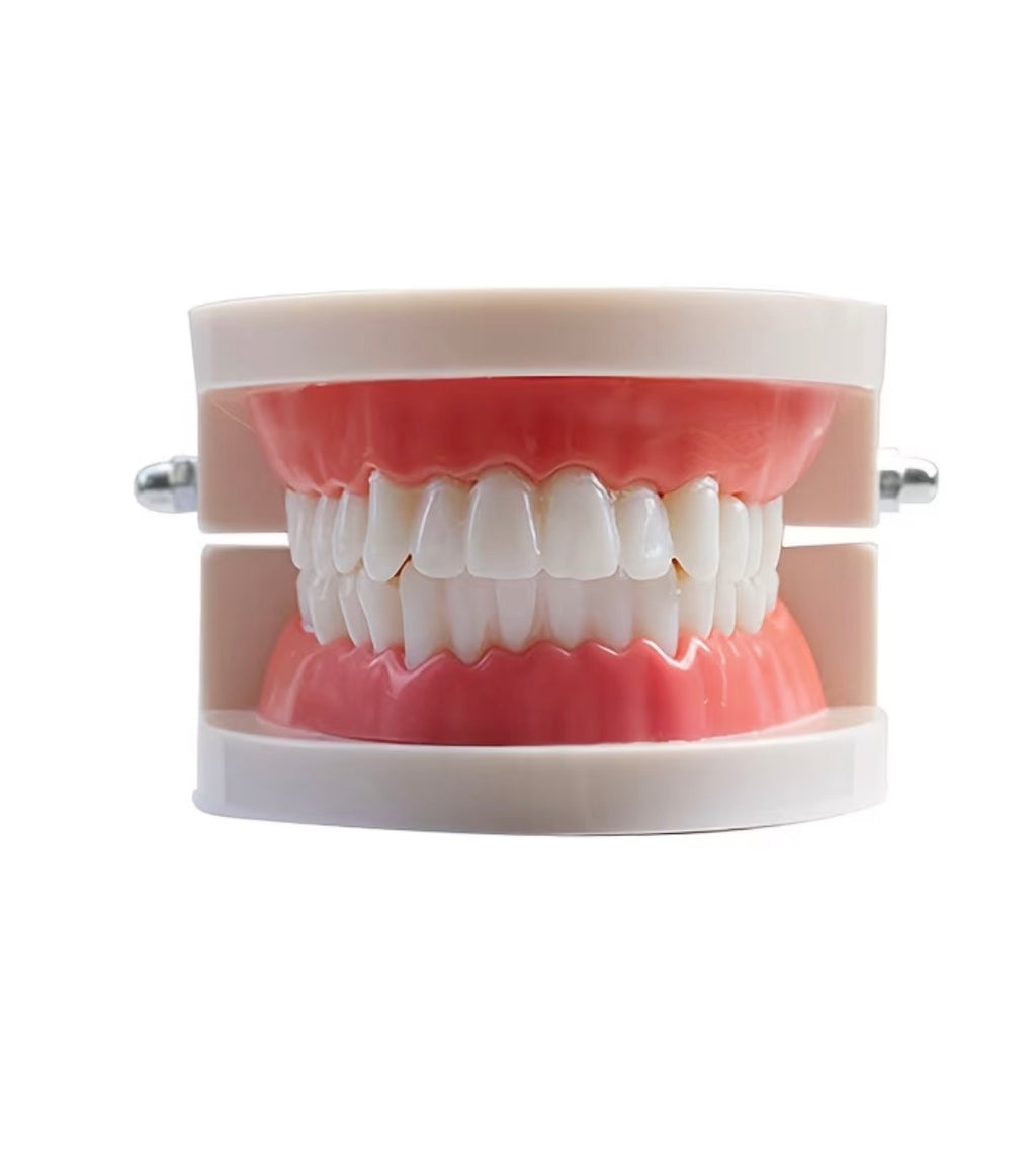 Practise 🦷 Tooth Gem Model