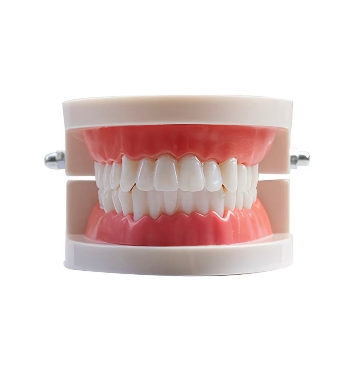 Practise 🦷 Tooth Gem Model