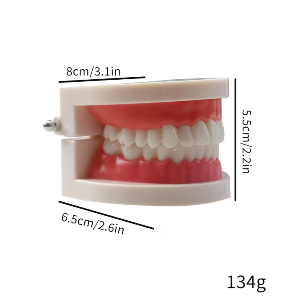 Practise 🦷 Tooth Gem Model