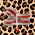 Practise 🦷 Tooth Gem Model